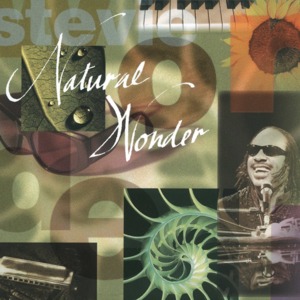 Dancing to the Rhythm - Stevie Wonder