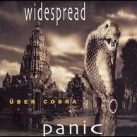 Expiration Day - Widespread Panic