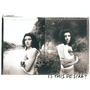 The Sky Lit Up - PJ Harvey