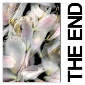 The End - IDLES