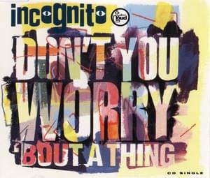 Don’t You Worry ’Bout a Thing (Frankie Foncett Mix) - Incognito