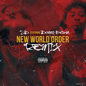 New World Order (Remix) - SD (Ft. Danny Brown)