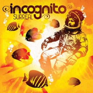 The Stars From Here - Incognito