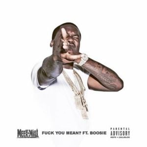 Fuck You Mean - Meek Mill (Ft. Boosie Badazz)