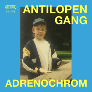 Name und Adresse - Antilopen Gang