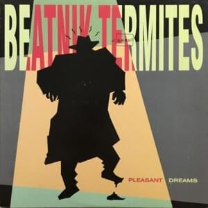 We Want The Airwaves - Beatnik Termites