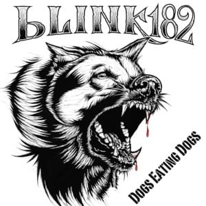 When I Was Young - ​​blink-182