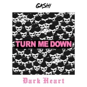 Turn Me Down (Dark Heart Remix) - GASHI (Ft. Dark Heart)