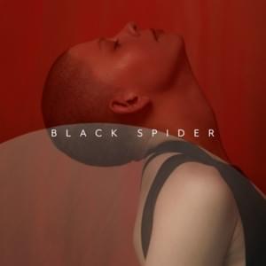 Black Spider - Kovacs