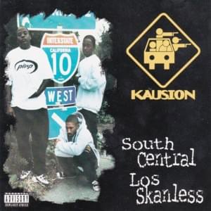 Cellies (Insert) - Kausion