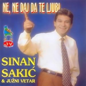 Ostala je tuga - Sinan Sakić