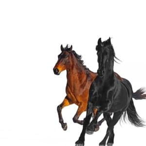 Lil Nas X - Old Town Road (Remix) ft. Billy Ray Cyrus (Tradução em Português) - Lyrxo Brasil Traduções