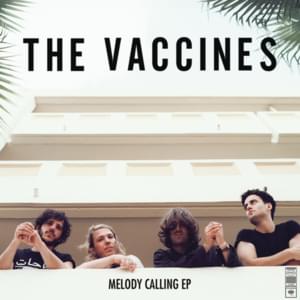 Do You Want a Man (John Hill + Rich Costey Remix) - The Vaccines