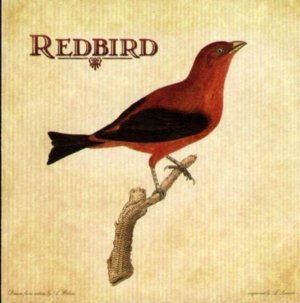 I Gotta Get Drunk - Redbird