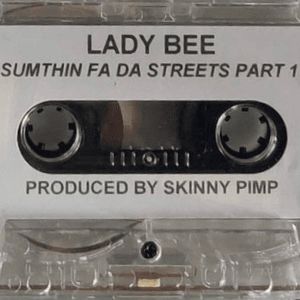 Niggas Coming Clean - Lady Bee (USA) (Ft. Kingpin Skinny Pimp)