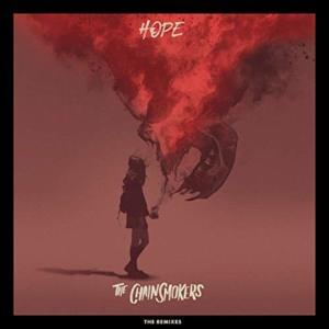 Hope (Parker Remix) - The Chainsmokers (Ft. Winona Oak)