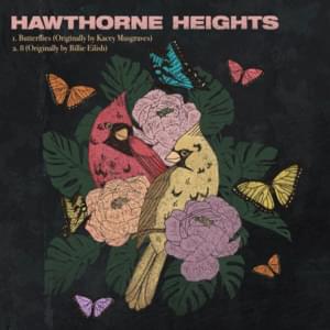 Butterflies - Hawthorne Heights