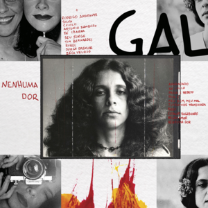 Nenhuma Dor (feat. Zeca Veloso) - Gal Costa