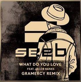 What Do You Love (Gramercy Remix) - Seeb (Ft. Jacob Banks)