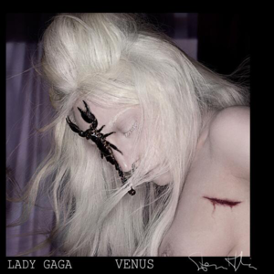 Venus - Lady Gaga