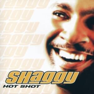 Not Fair - Shaggy (Ft. Toni Seawright)