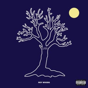 Unleashed - Roy Woods