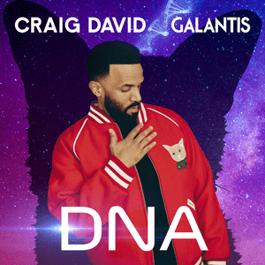 DNA - Craig David & Galantis