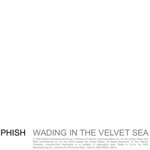 Wading in the Velvet Sea - Phish