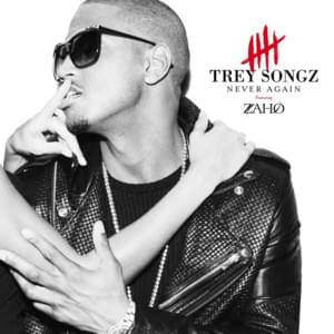 Never Again (Remix) - Trey Songz (Ft. Zaho)