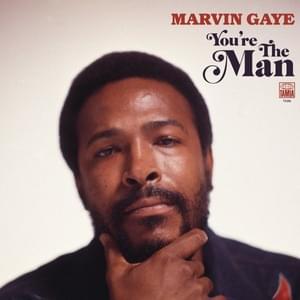 Symphony (SalaAM ReMi LP Mix) - Marvin Gaye