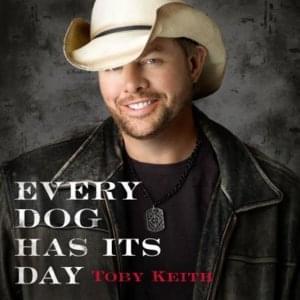 Every Dog Has Its Day - Toby Keith