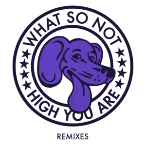 High You Are (SCNTST Remix) - What So Not