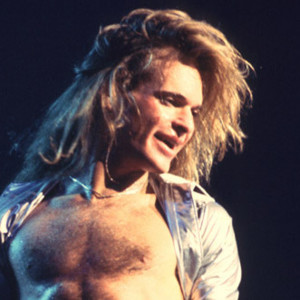 I’ve just seen a face - David Lee Roth