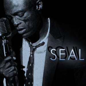 I Can’t Stand the Rain - Seal