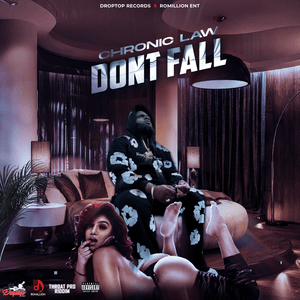 Don’t Fall - Chronic Law