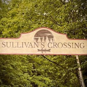 Time and Time Again (Sullivan’s Crossing Theme Song) - WILD