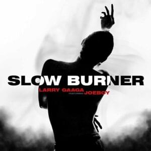 Slow Burner - Larry Gaaga (Ft. Joeboy)