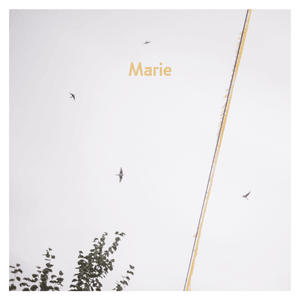 Marie (Dach Session) - AnnenMayKantereit