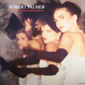 I Didn’t Mean to Turn You On - Robert Palmer