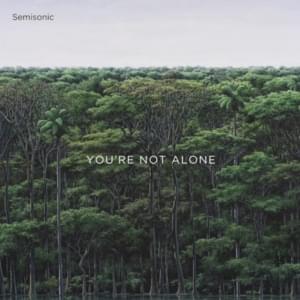 Don’t Make Up Your Mind - Semisonic