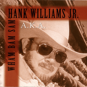 Maybe I’m The One Who’s Crazy - Hank Williams Jr.