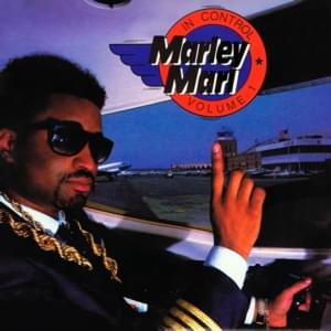 Simon Says - Marley Marl (Ft. Masta Ace)