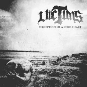 Perception Of A Cold Heart [Bonus Track] - VCTMS (Ft. Ben Keller)