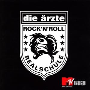 Zu spät (Live & Unplugged) - Die Ärzte