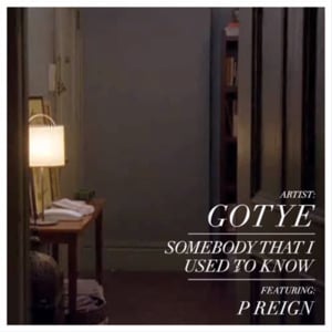 Somebody That I Used to Know (Remix) - Gotye (Ft. Kimbra & Preme)