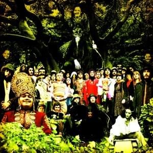 How’s About Tellin’ a Story - Devendra Banhart