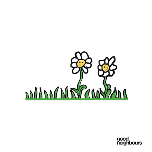 Daisies - Good Neighbours