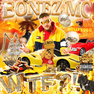 WTF?! - Bonez MC