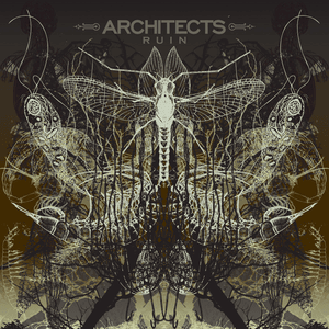 I Can’t See the Light - Architects