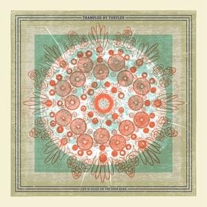 I Learn the Hard Way - Trampled by Turtles